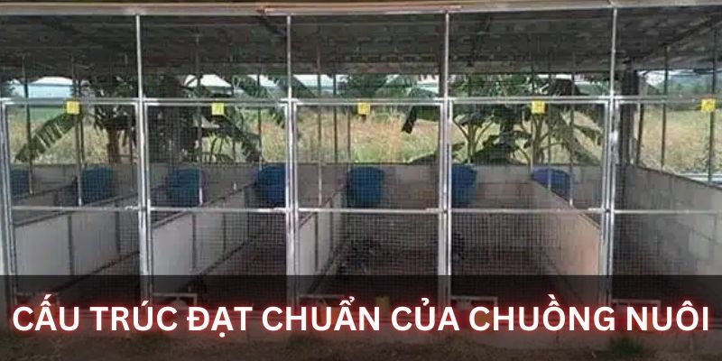 Kết cấu chuồng lý tưởng bạn cần biết rõ