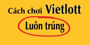 vn88 hướng dẫn cách chơi vietlott